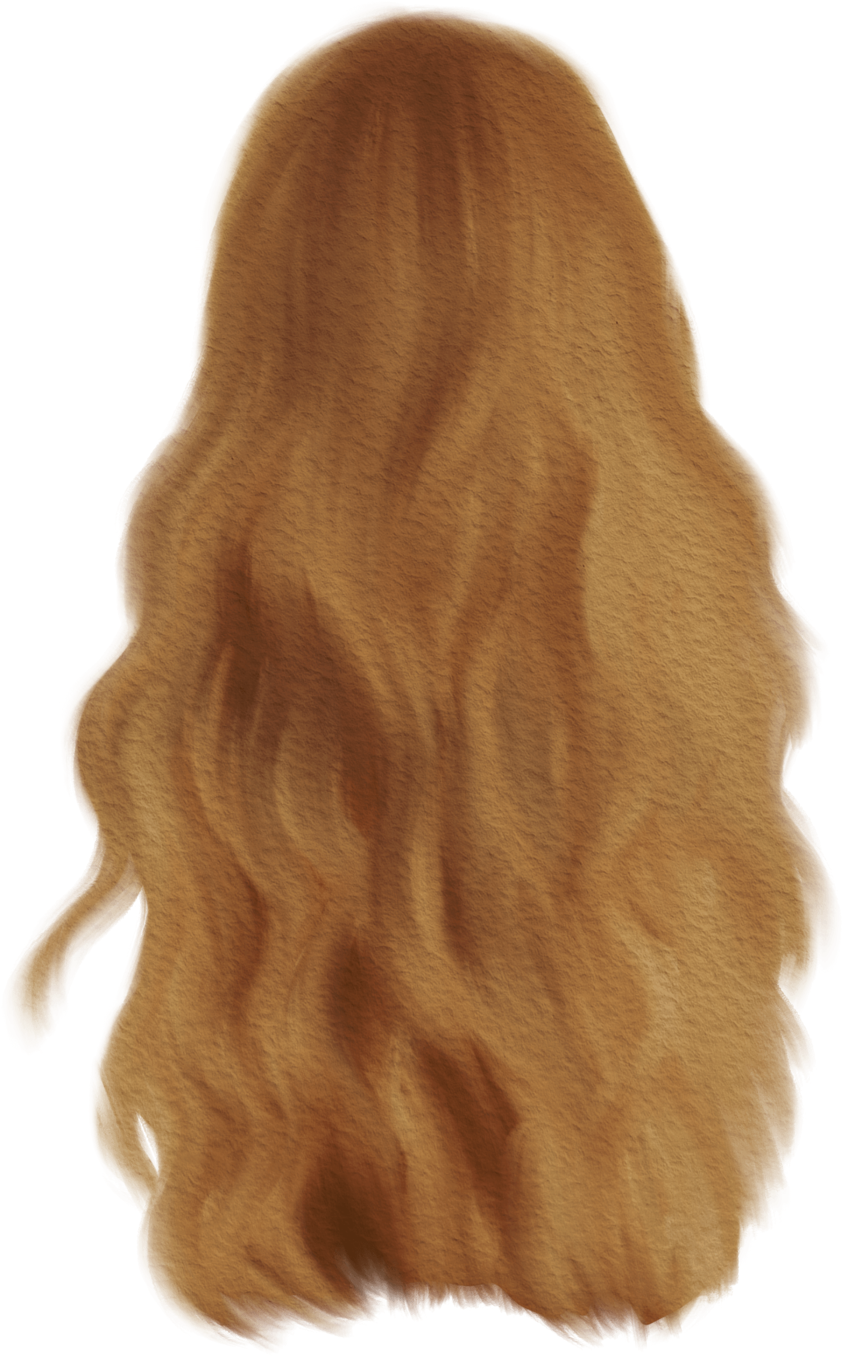 long hair2 long hair2